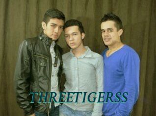 THREETIGERSS