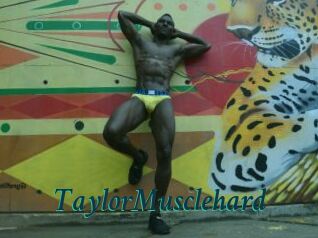 TaylorMusclehard