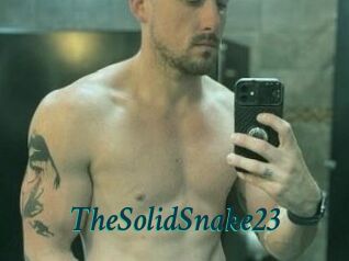 TheSolidSnake23