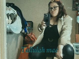Tallulah_mae
