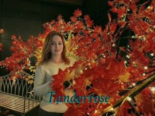 Tanderrose