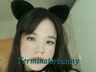 Terminatorbunny