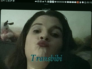 Transbibi