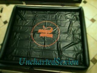 UnchartedSexion