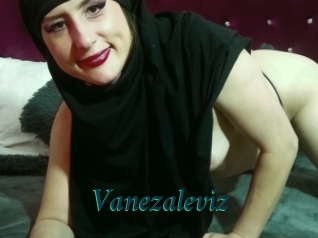 Vanezaleviz