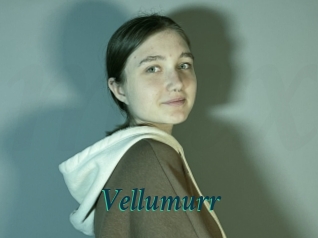 Vellumurr