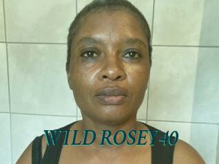 WILD_ROSEY40