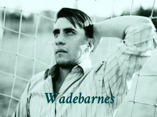 Wadebarnes