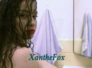 Xanthe_Fox