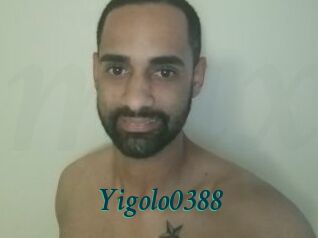 Yigolo0388