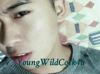YoungWildCock4u