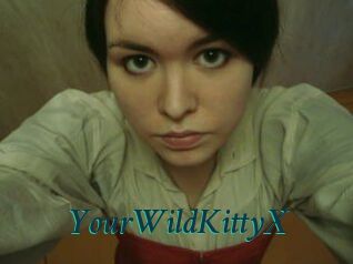 YourWildKittyX