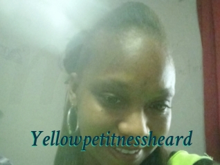 Yellowpetitnessheard