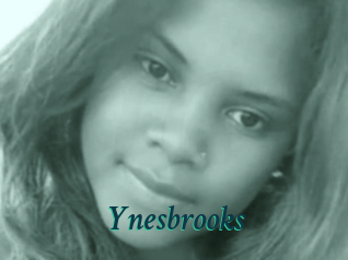 Ynesbrooks