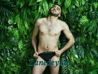 Zanedeyum