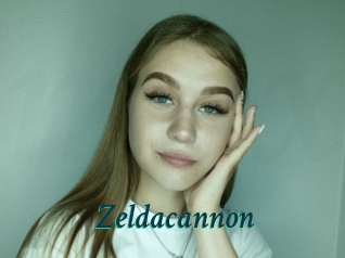 Zeldacannon